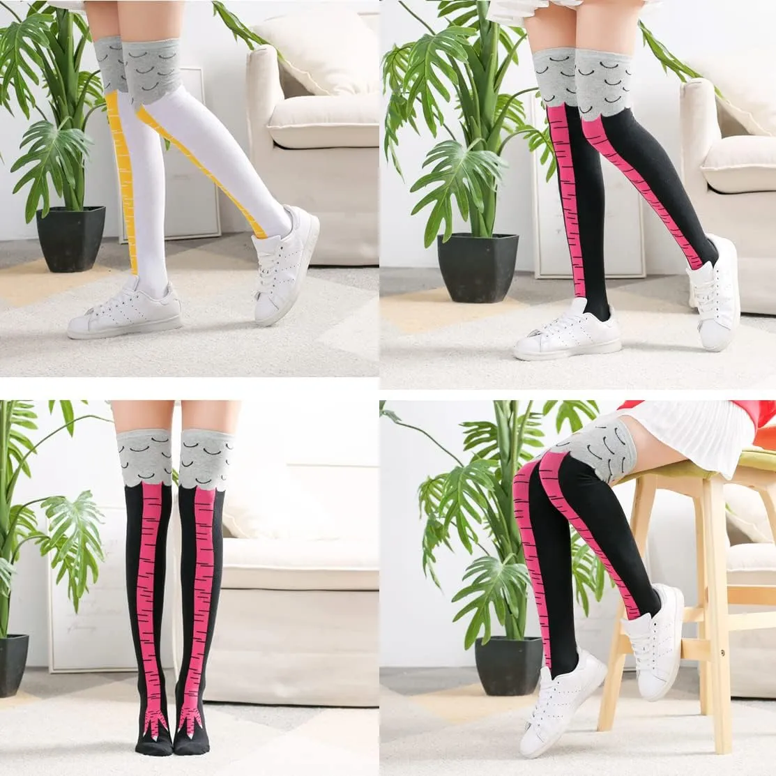 Women's Modern
